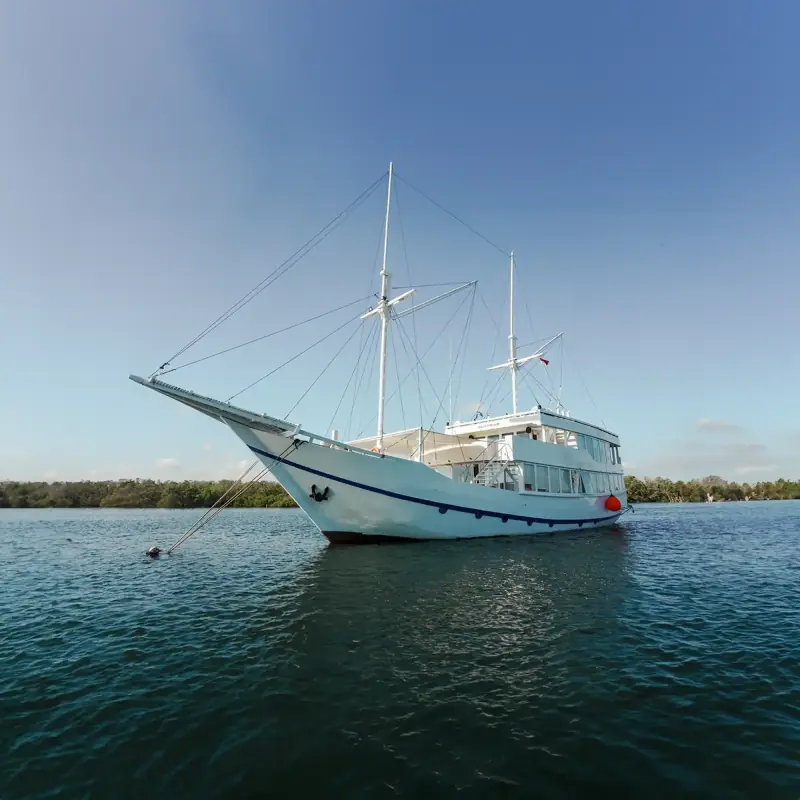 White phinisi at anchor