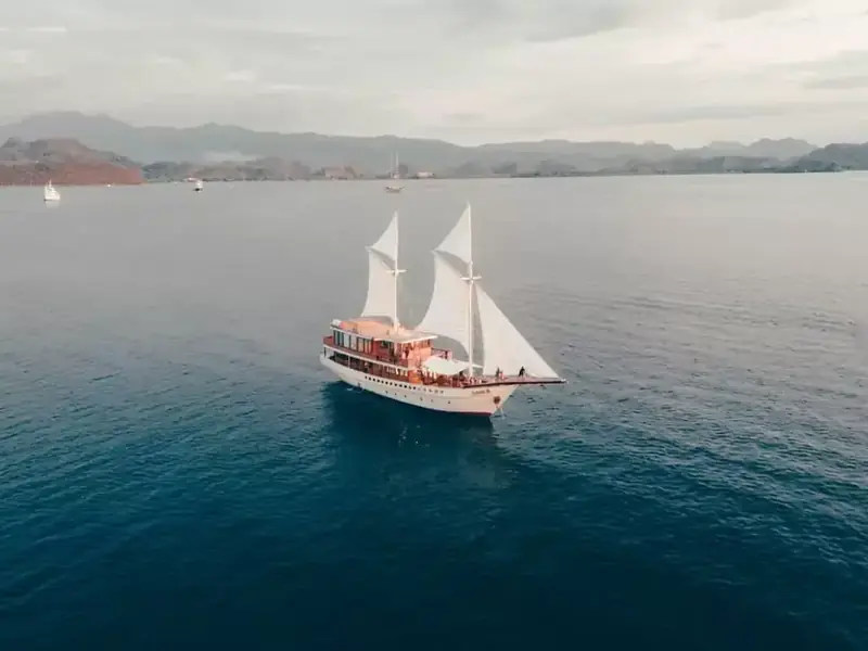 White phinisi under sail on open water