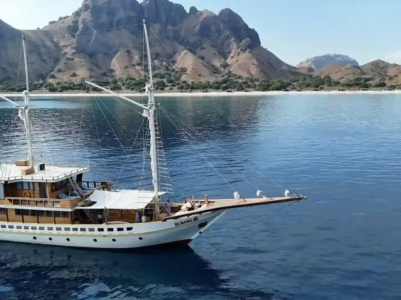 Phinisi at anchor below steep green hills