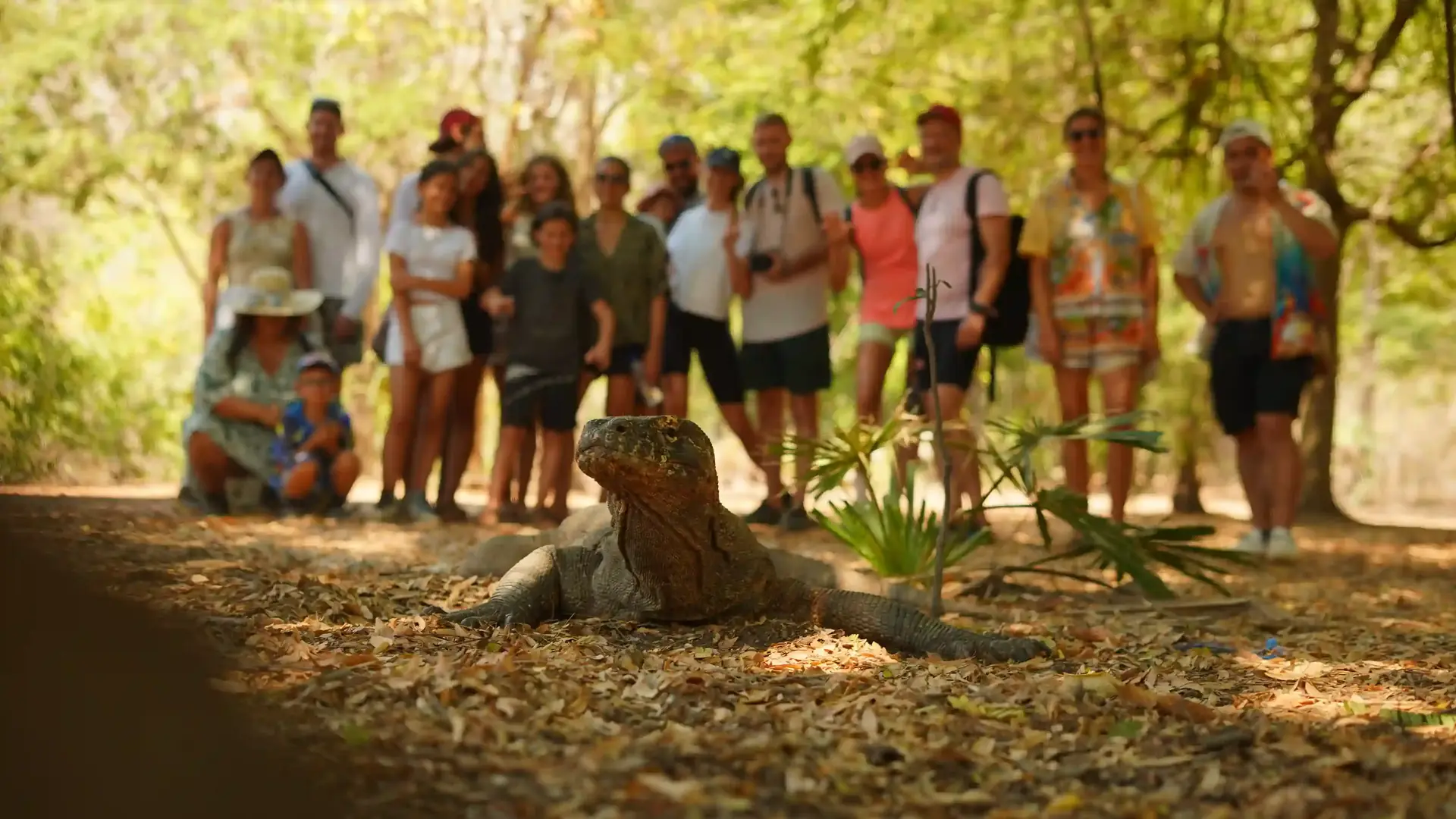 Komodo dragon with a group of visitors in the forest