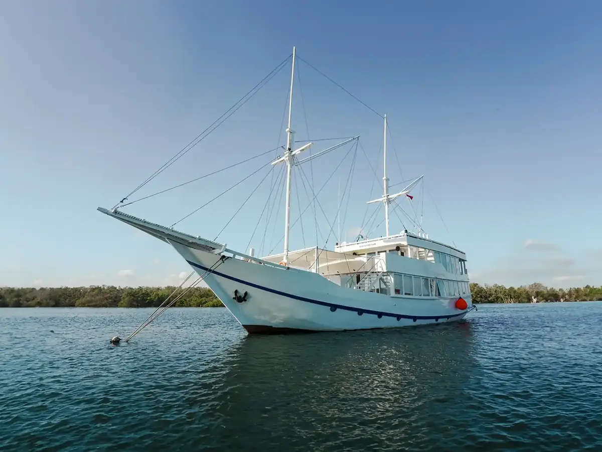 White phinisi at anchor in a calm bay
